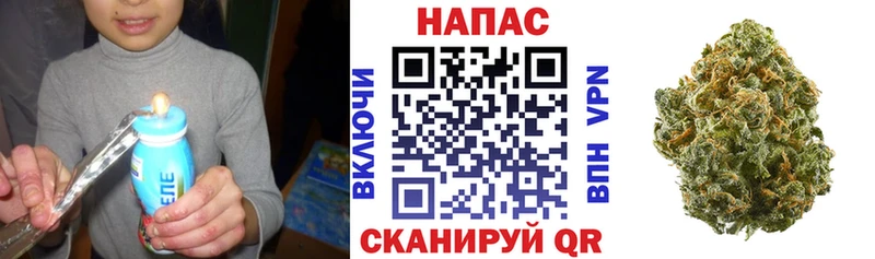 Бошки Шишки White Widow наркотики Инсар